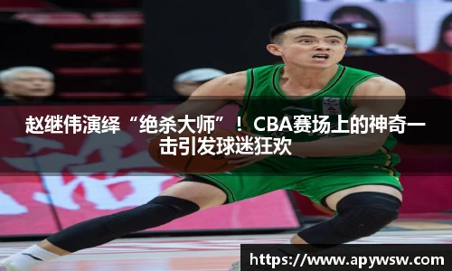 赵继伟演绎“绝杀大师”！CBA赛场上的神奇一击引发球迷狂欢